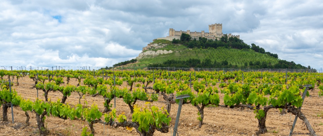 Castilla y León s Historic Wineries: An Expert Tour of Underground Treasures and Iconic Wines