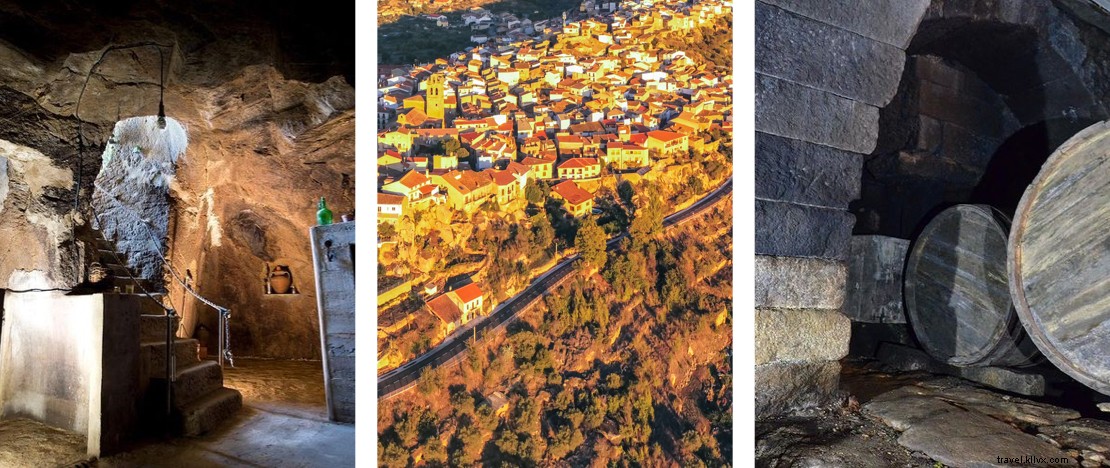 Castilla y León s Historic Wineries: An Expert Tour of Underground Treasures and Iconic Wines