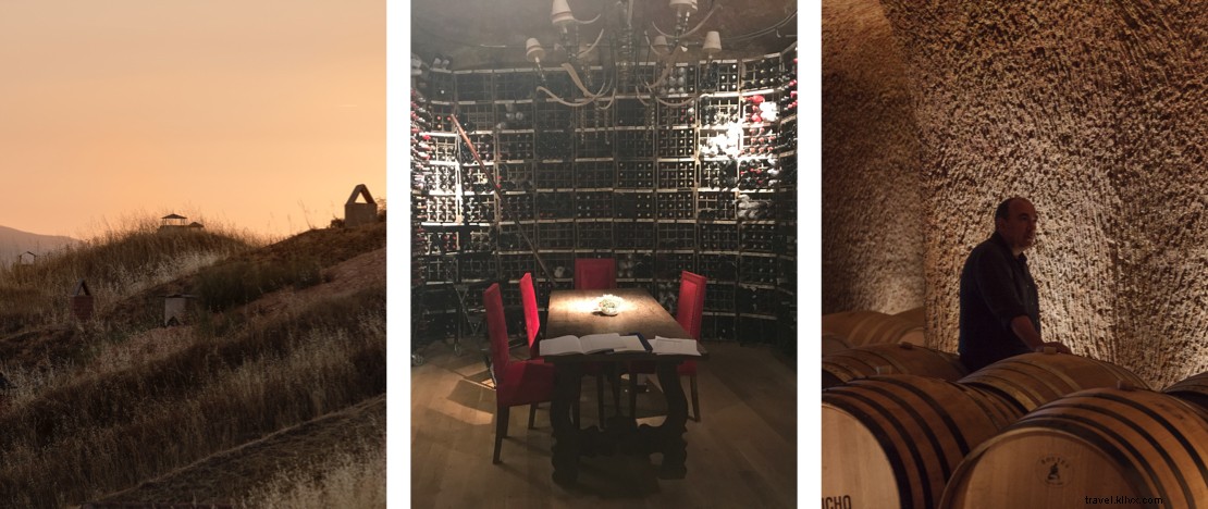 Castilla y León s Historic Wineries: An Expert Tour of Underground Treasures and Iconic Wines