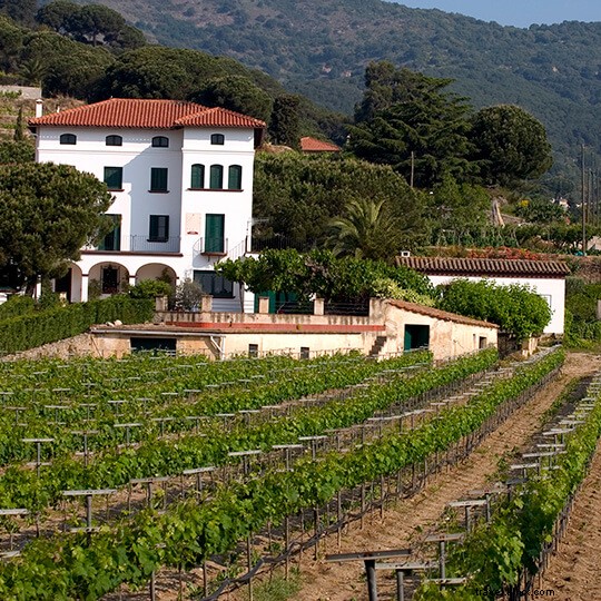 Top Wineries Near Barcelona: Unforgettable Tours, Tastings, and Cava Experiences