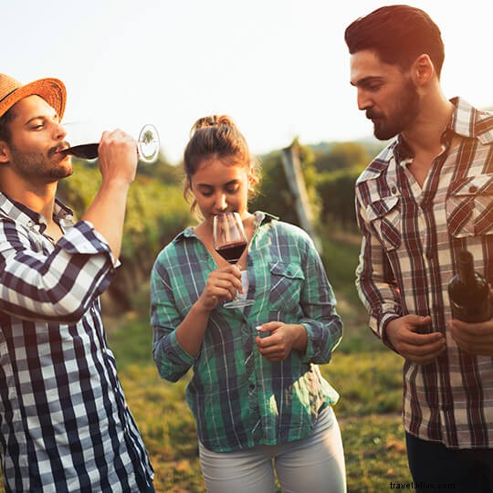 Top Wineries Near Barcelona: Unforgettable Tours, Tastings, and Cava Experiences