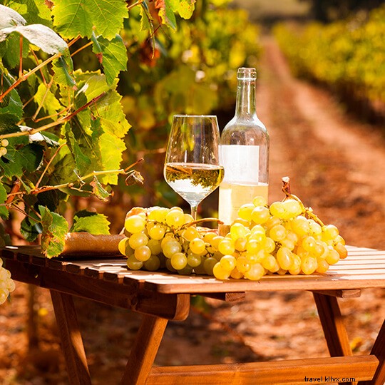 Top Wineries Near Barcelona: Unforgettable Tours, Tastings, and Cava Experiences