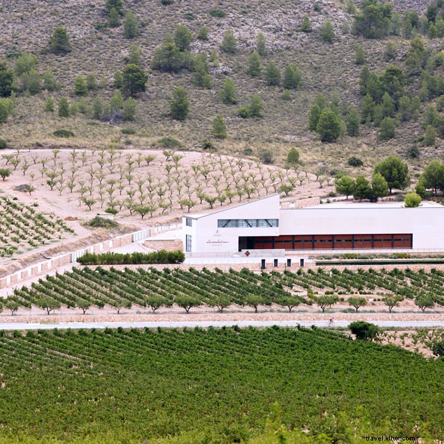 Wine Tasting in Costa Blanca Wineries: Explore Alicante s Premier Wine Route