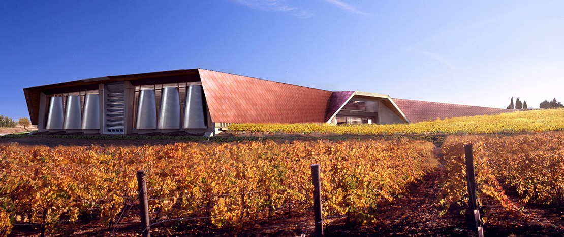 Ultimate Wine Route from Madrid to Barcelona: Discover Spain s Finest Vineyards