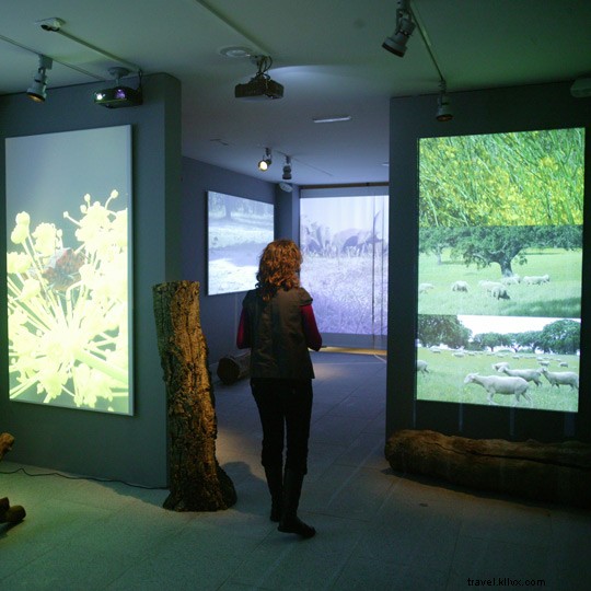 Discover the Guijuelo Iberian Ham Route: A Scenic Journey Through Salamanca s Countryside