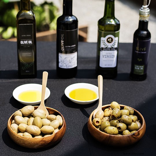 Top Olive Oil Tourism Experiences in Spain: Andalusia, Castile-La Mancha & Beyond