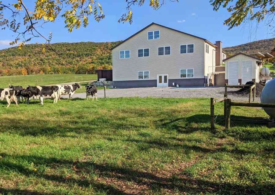 Creating Culinary Magic with Local Ingredients at RE Farm Café at Windswept