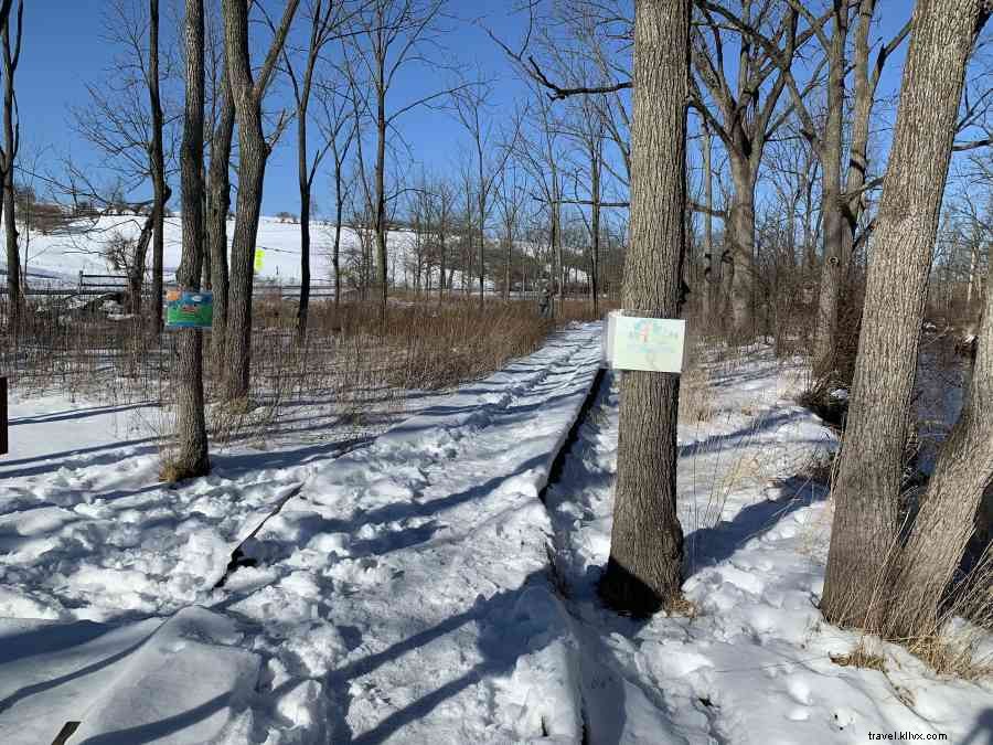 Millbrook Marsh Nature Center Artwalk: Open Now Through February 21, 2021