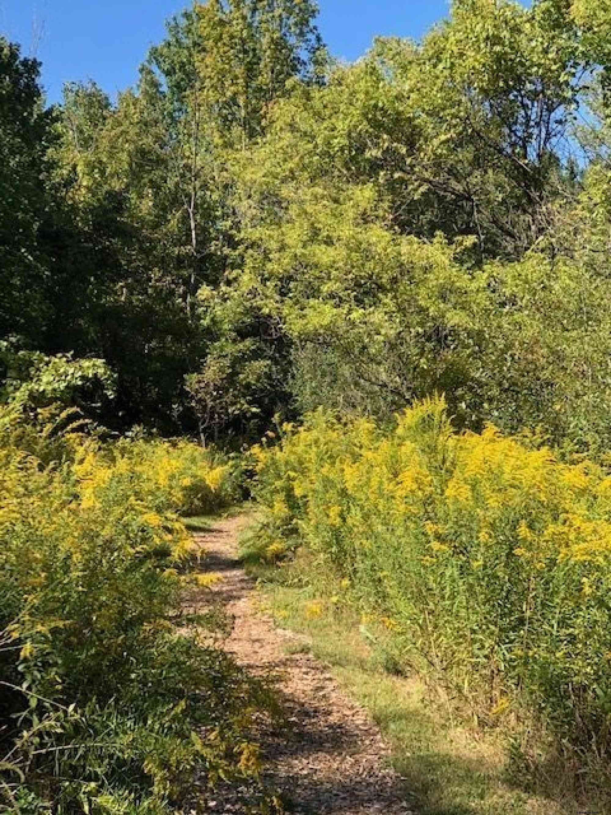 Happy Valley Pivot: Boal Mansion and Columbus Chapel Expand Arts, Gardens, and Exhibits for 2021