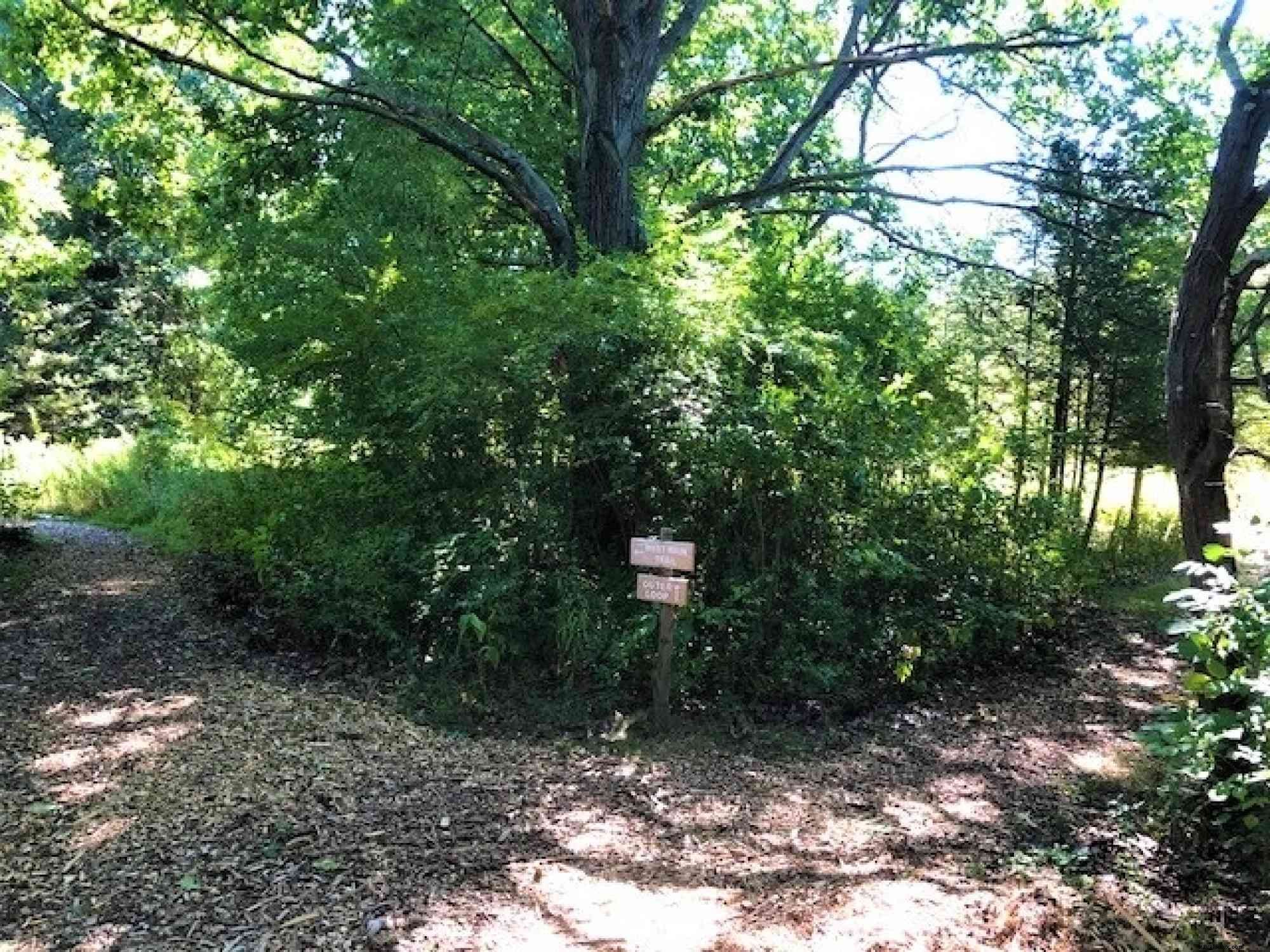 Happy Valley Pivot: Boal Mansion and Columbus Chapel Expand Arts, Gardens, and Exhibits for 2021