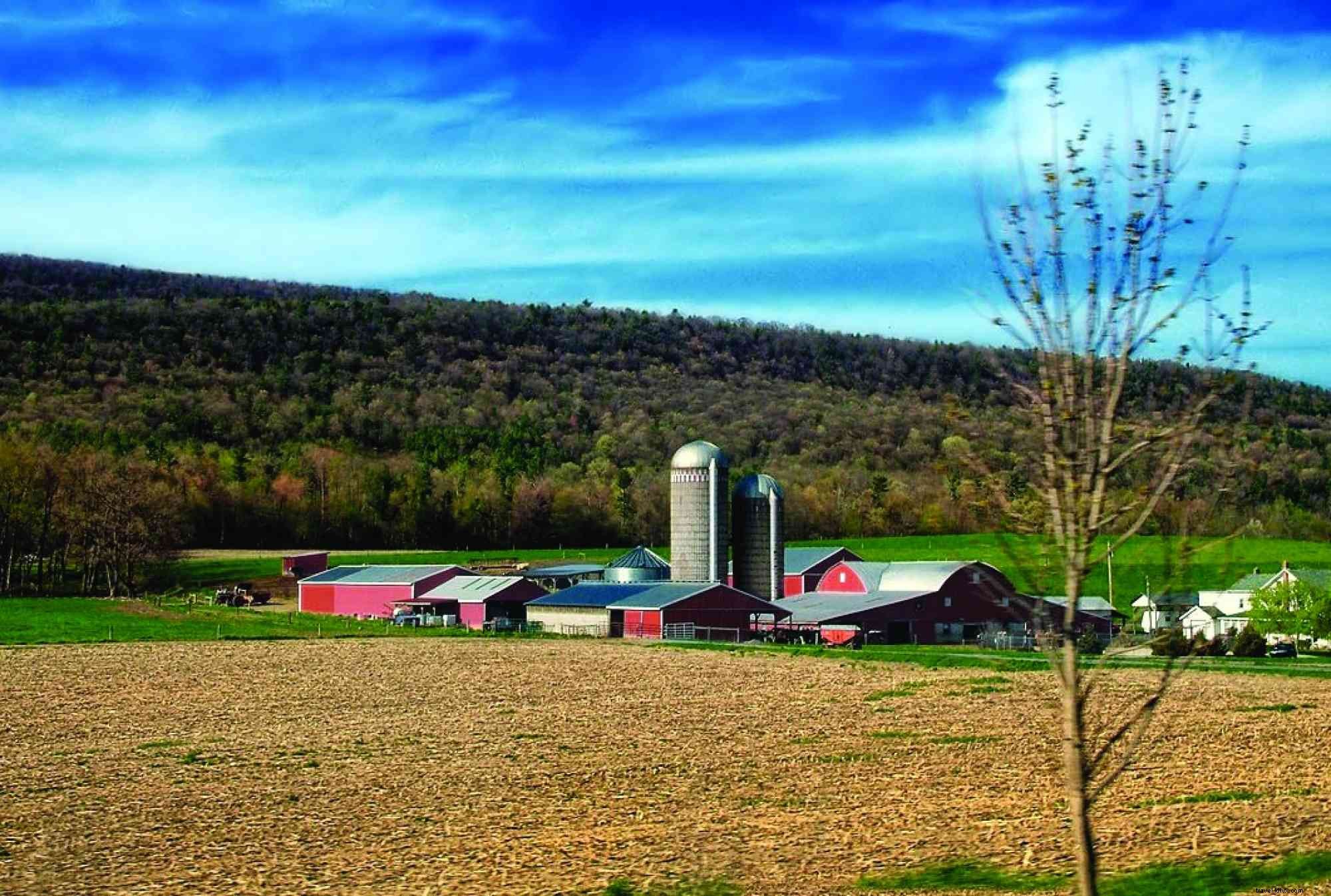 Explore Happy Valley s Agricultural Heritage on the Scenic Driving Tour