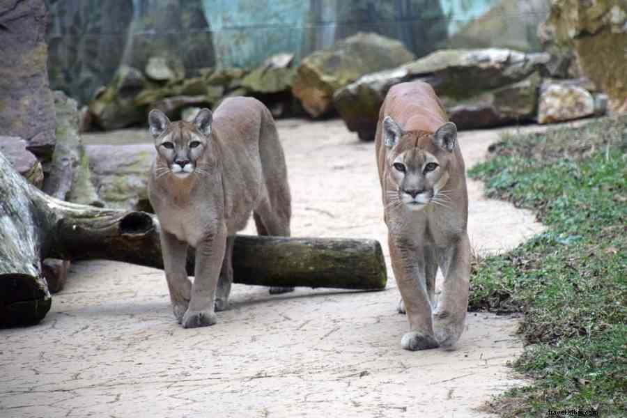 Explore Happy Valley s Agricultural Heritage on the Scenic Driving Tour