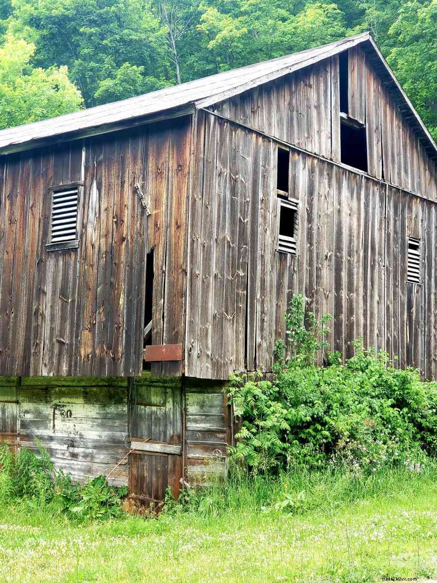 Timeless Barn Charm in Happy Valley: Old and New Architectural Gems
