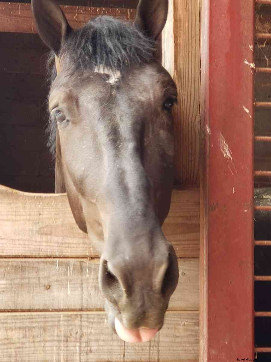 Spend a Day (or More) on Happy Valley Agventures: Farms, Food, and Scenic Barns