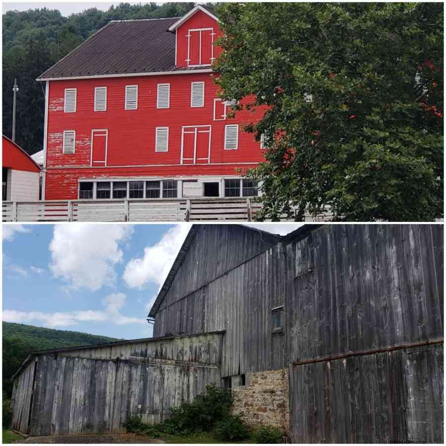 Spend a Day (or More) on Happy Valley Agventures: Farms, Food, and Scenic Barns
