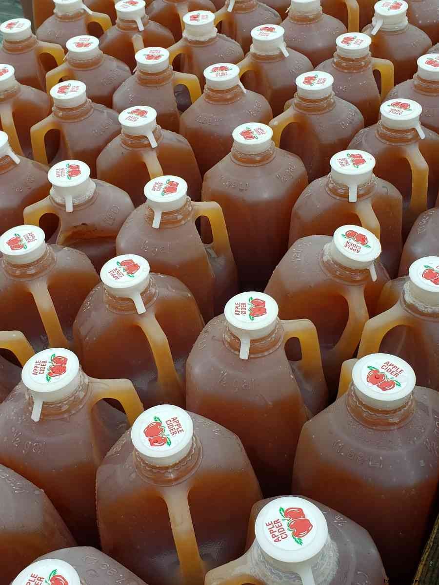 Hidden Gems: Under-the-Radar Ways to Discover Authentic Happy Valley, PA