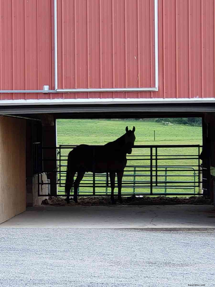 Summer: The Perfect Time for Happy Valley Locals to Play Tourist in Their Own Backyard