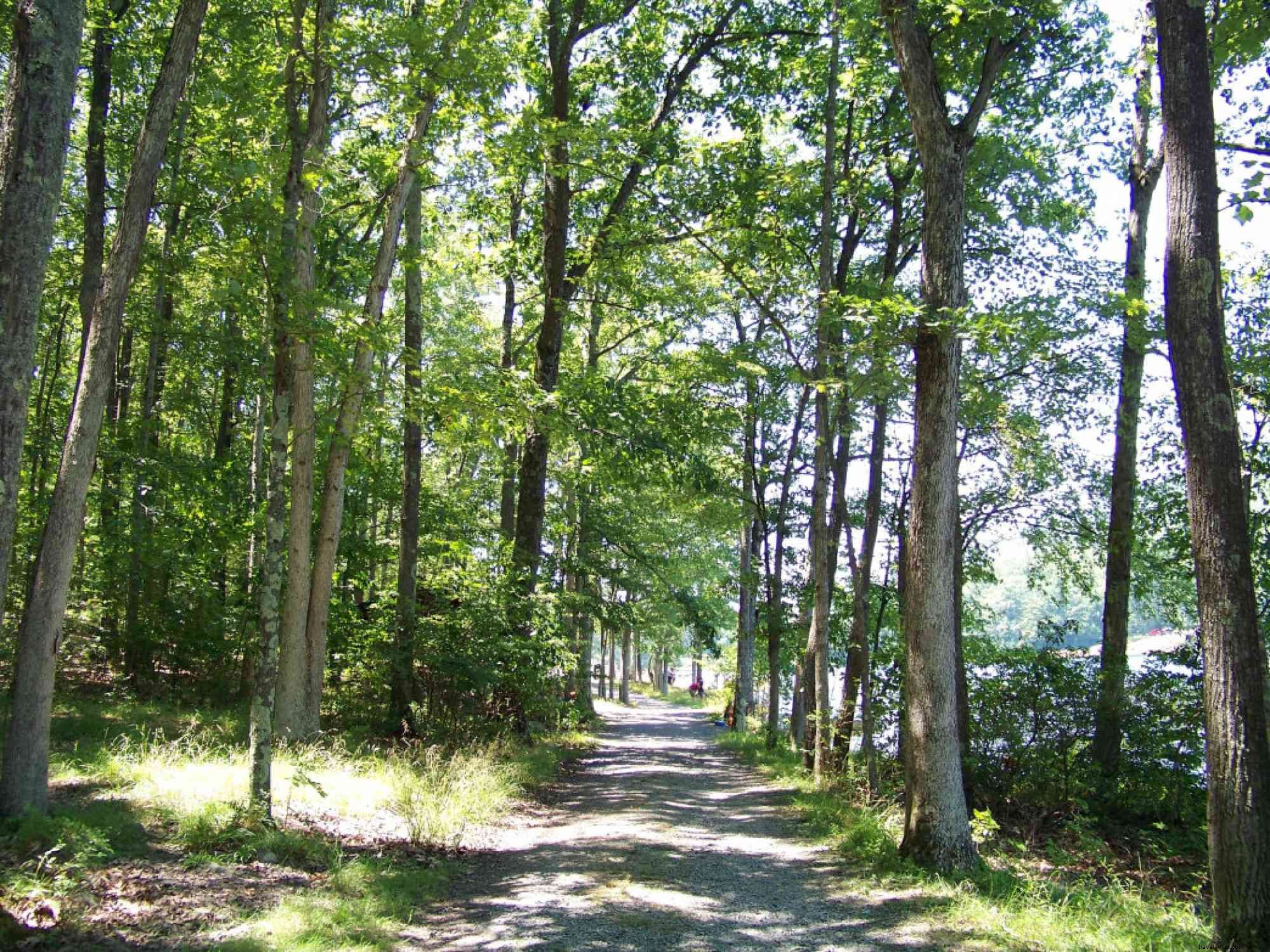 Top State Parks in Pennsylvania s Happy Valley: Must-Visit Spots and Essential Activities