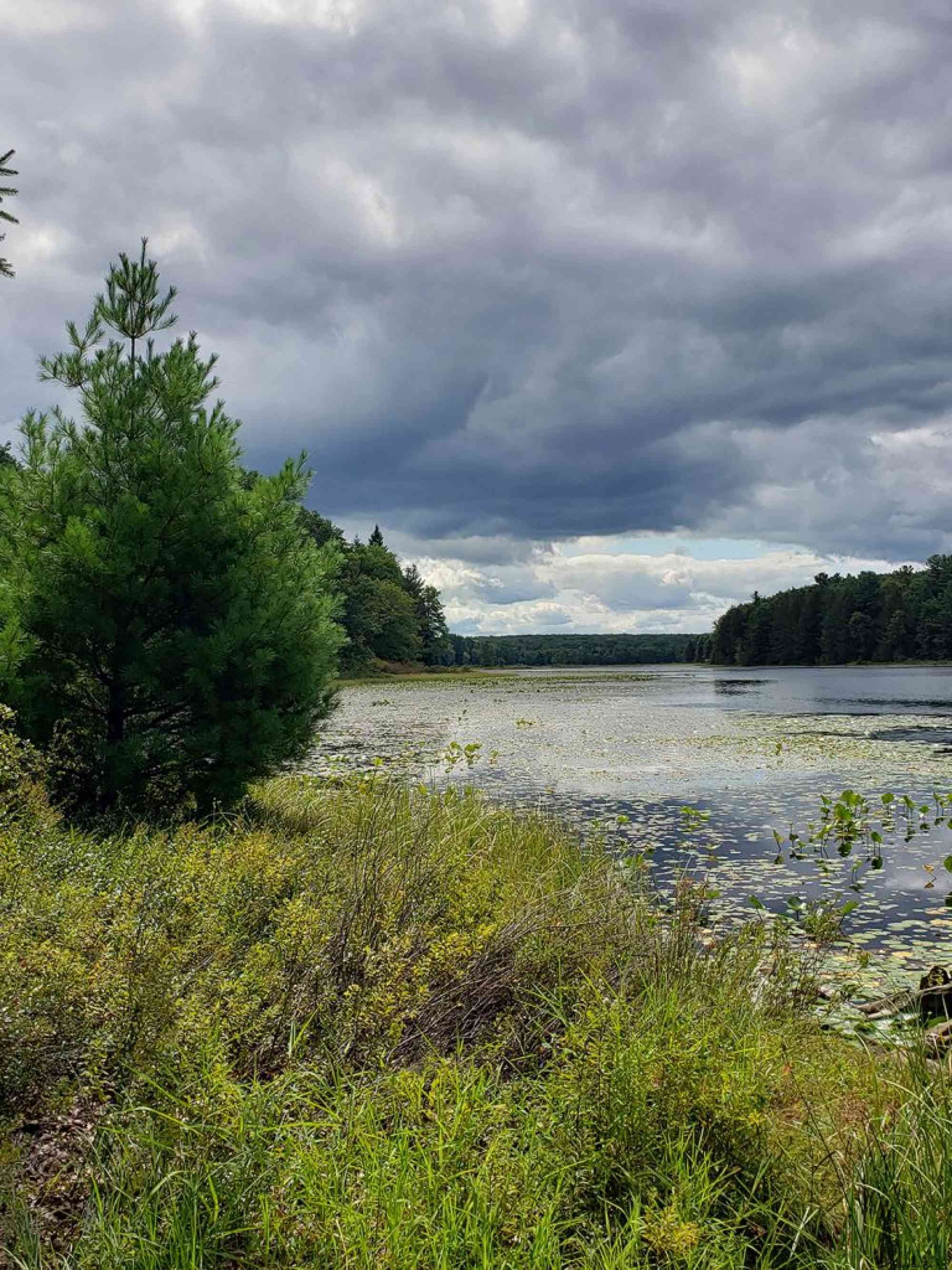 The Top 5 Hiking Trails and Craft Brewery Pairings Near State College