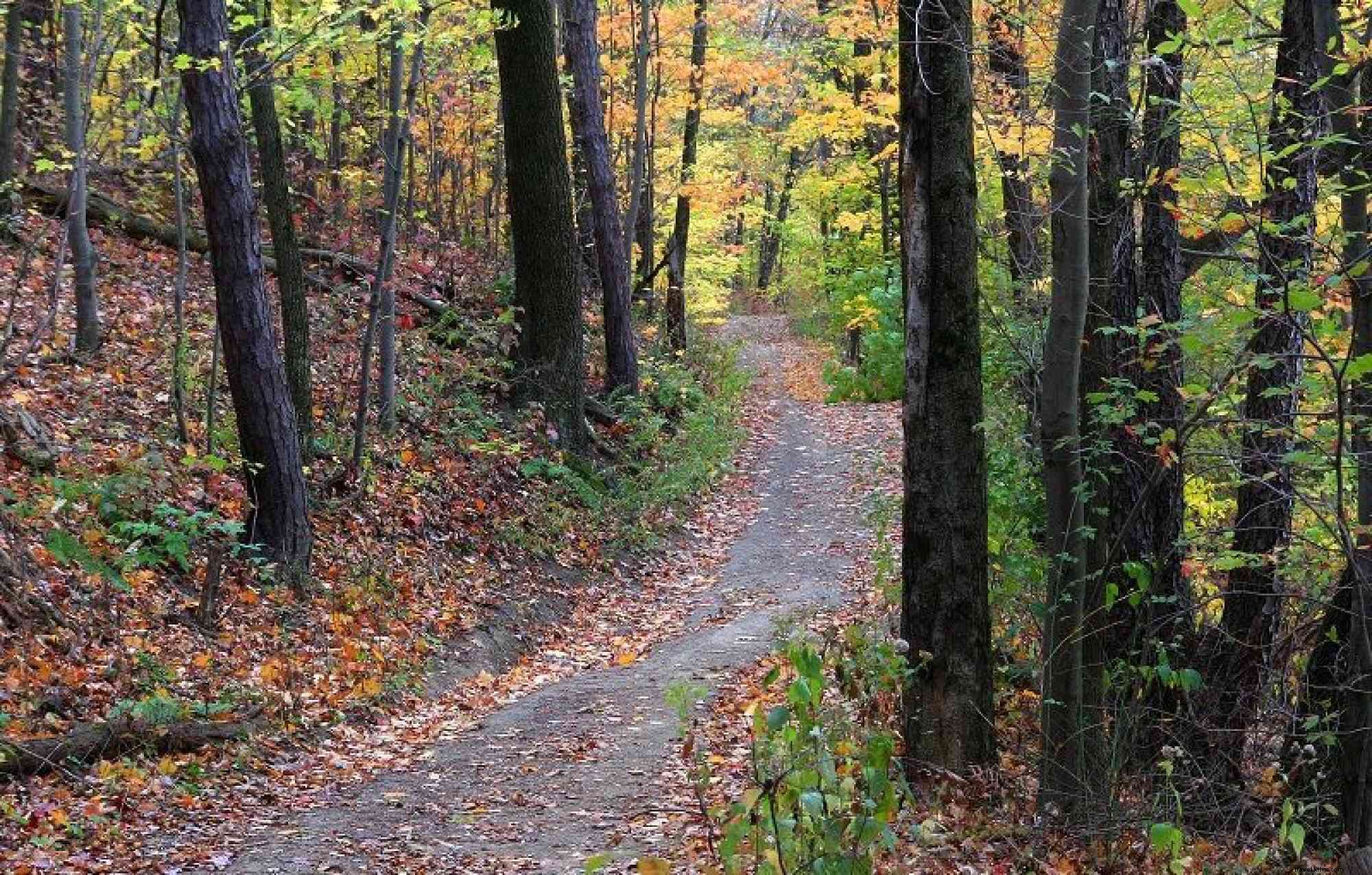 The 8 Best Hiking Trails Near State College, PA: Explore Happy Valley