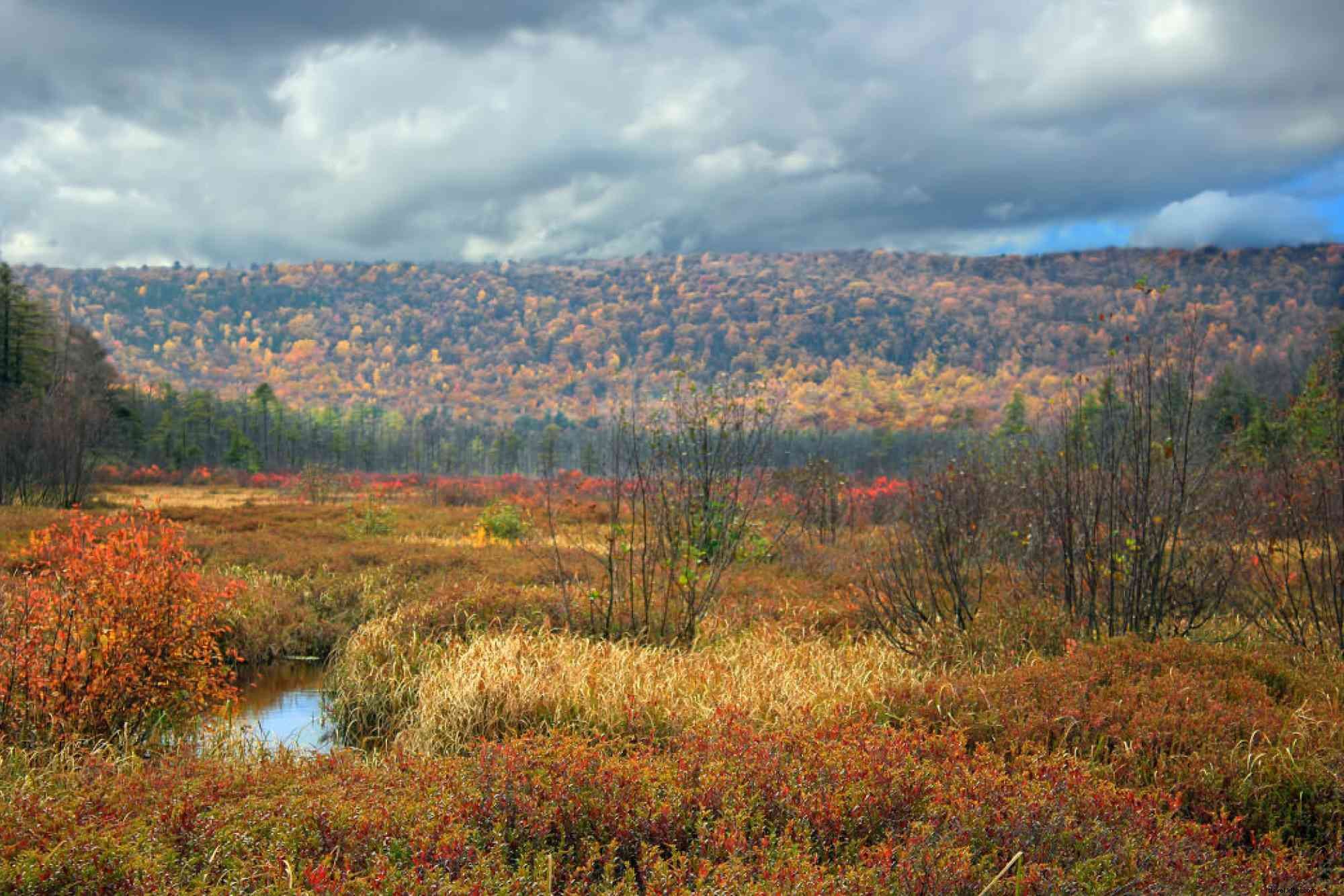 The 8 Best Hiking Trails Near State College, PA: Explore Happy Valley