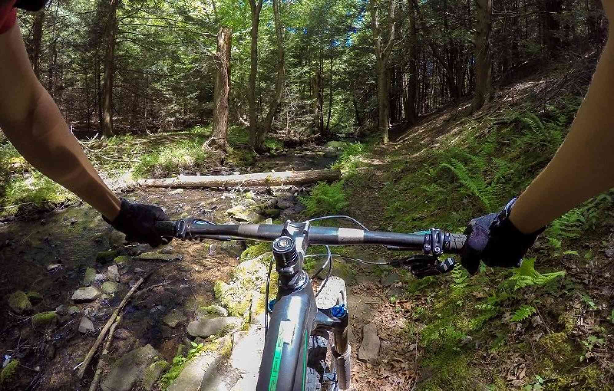 The Insider s Guide to Mountain Biking in Rothrock State Forest