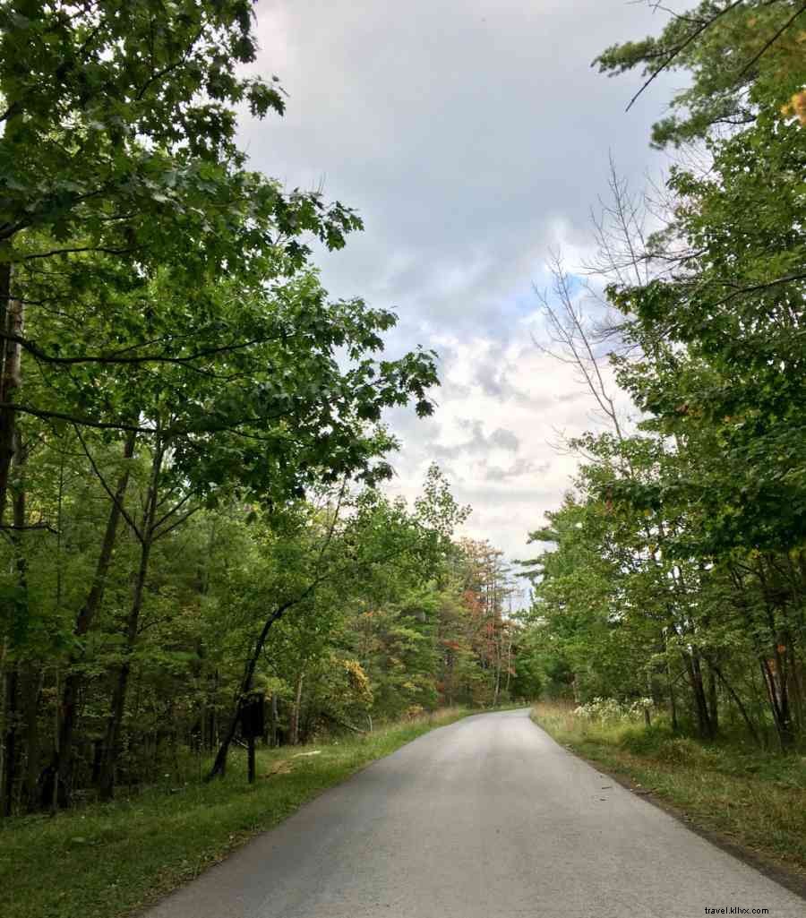 The Insider s Guide to Mountain Biking in Rothrock State Forest