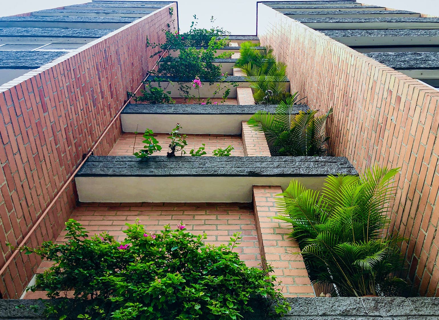 Laureles: Medellín s Vibrant Cultural Hub and Hidden Gem