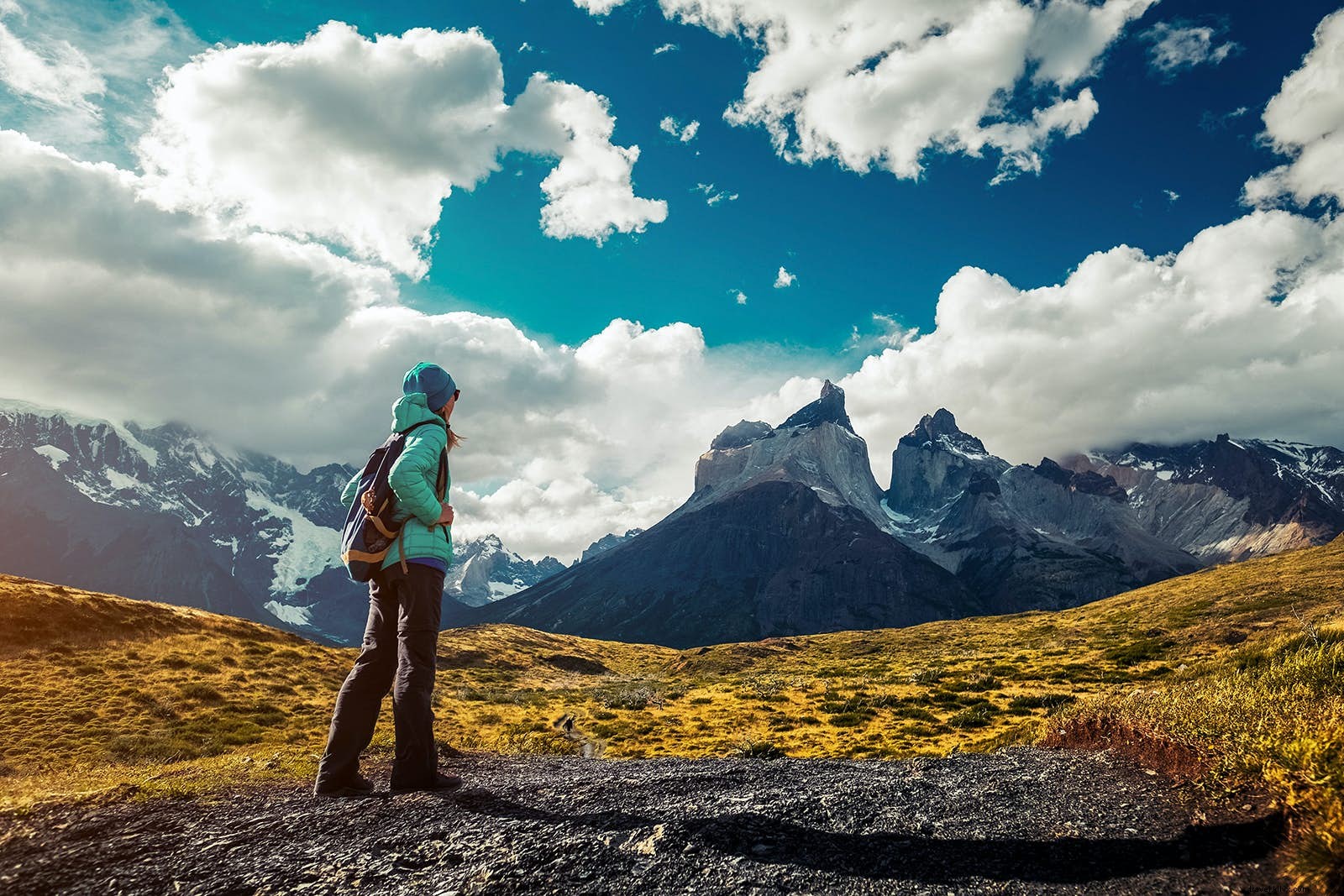 Top 10 Must-Do Experiences in Patagonia: Glaciers, Wildlife, and Epic Adventures