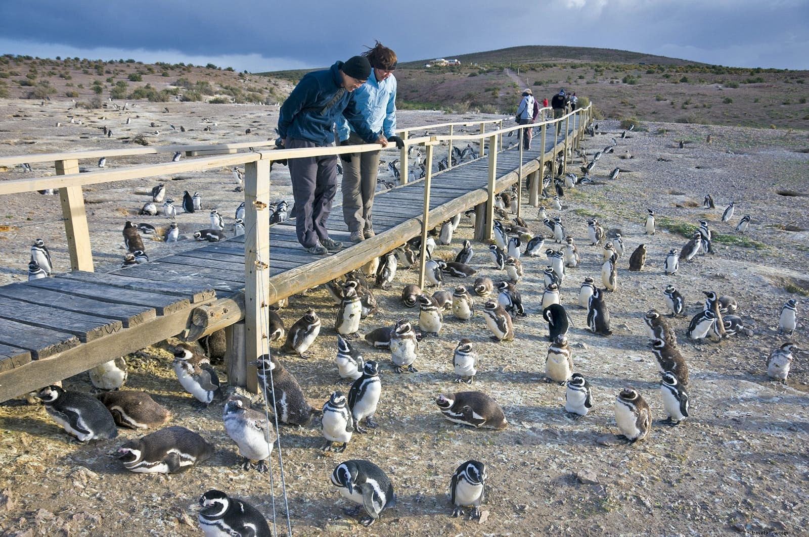 Top 10 Must-Do Experiences in Patagonia: Glaciers, Wildlife, and Epic Adventures