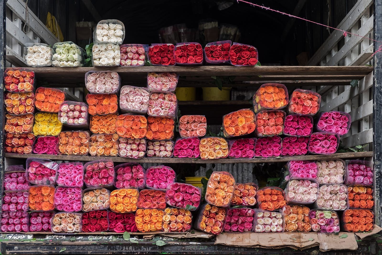 Top Things to Do in Bogotá in April: Holy Week, Book Fair, and Cultural Gems