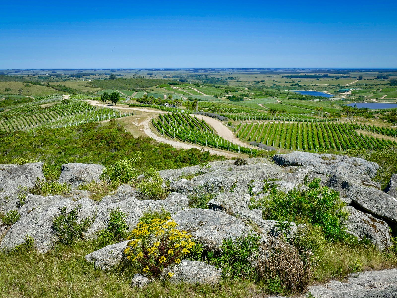 Ultimate Road Trip Guide to Uruguay: Beaches, Vineyards, and Historic Gems