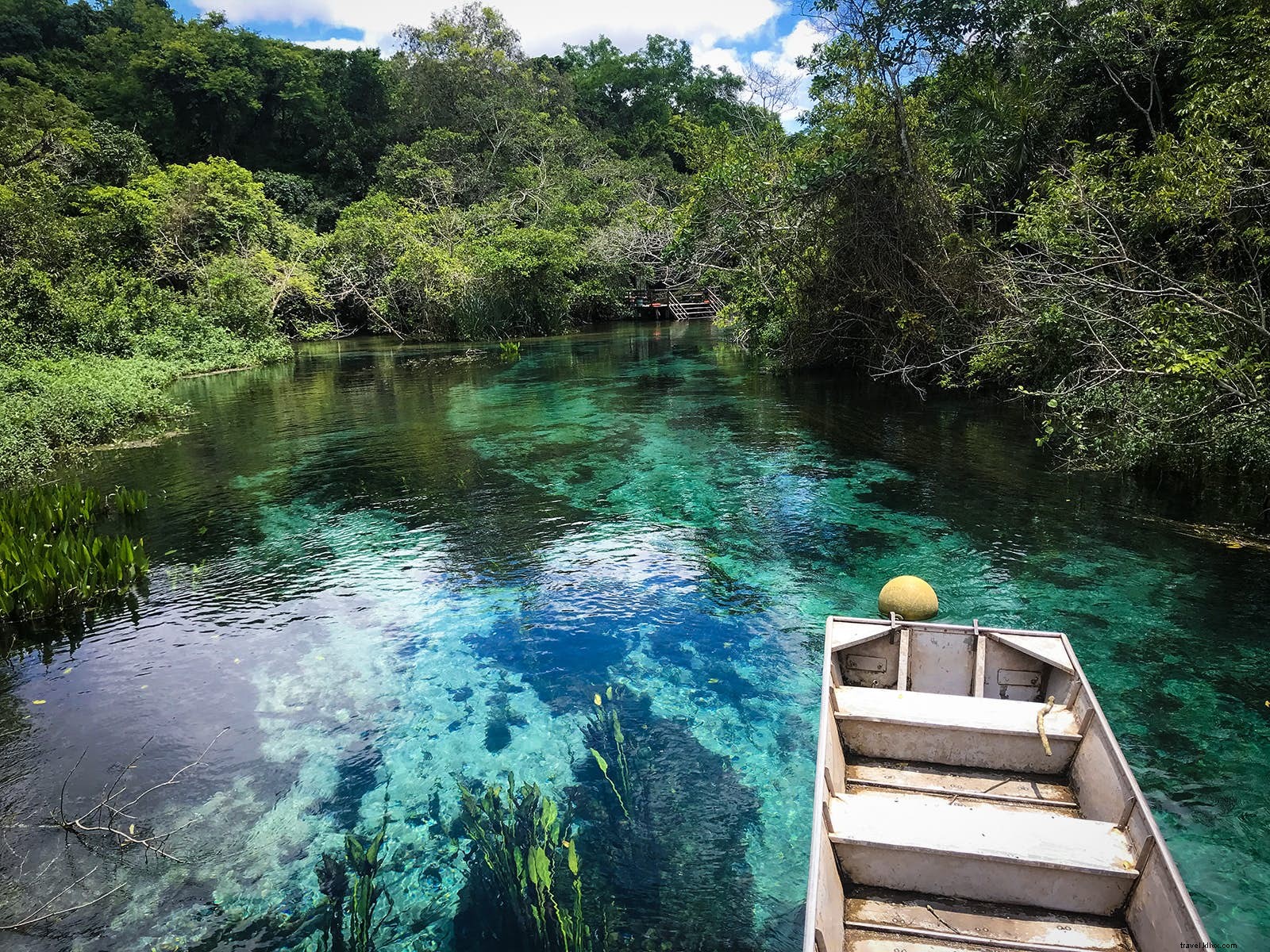 Bonito, Brazil: Discover Crystal-Clear Waters, Waterfalls, and Cave Adventures
