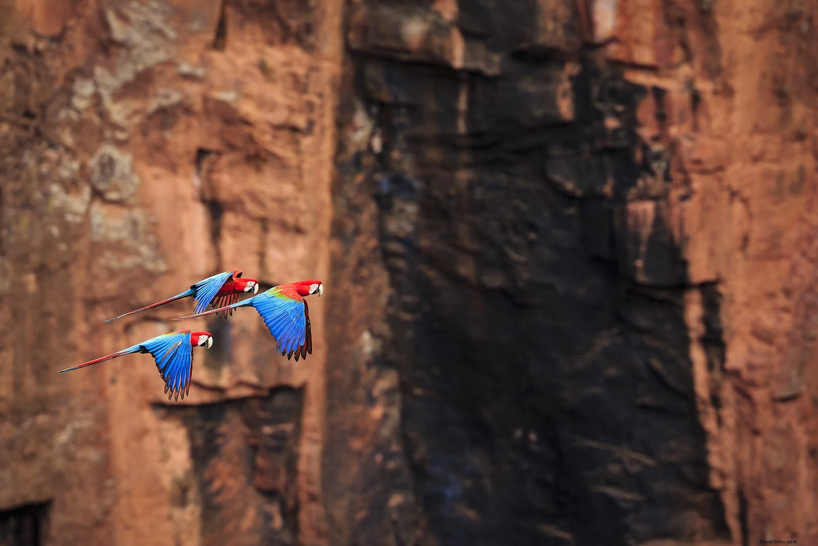 Bonito, Brazil: Discover Crystal-Clear Waters, Waterfalls, and Cave Adventures