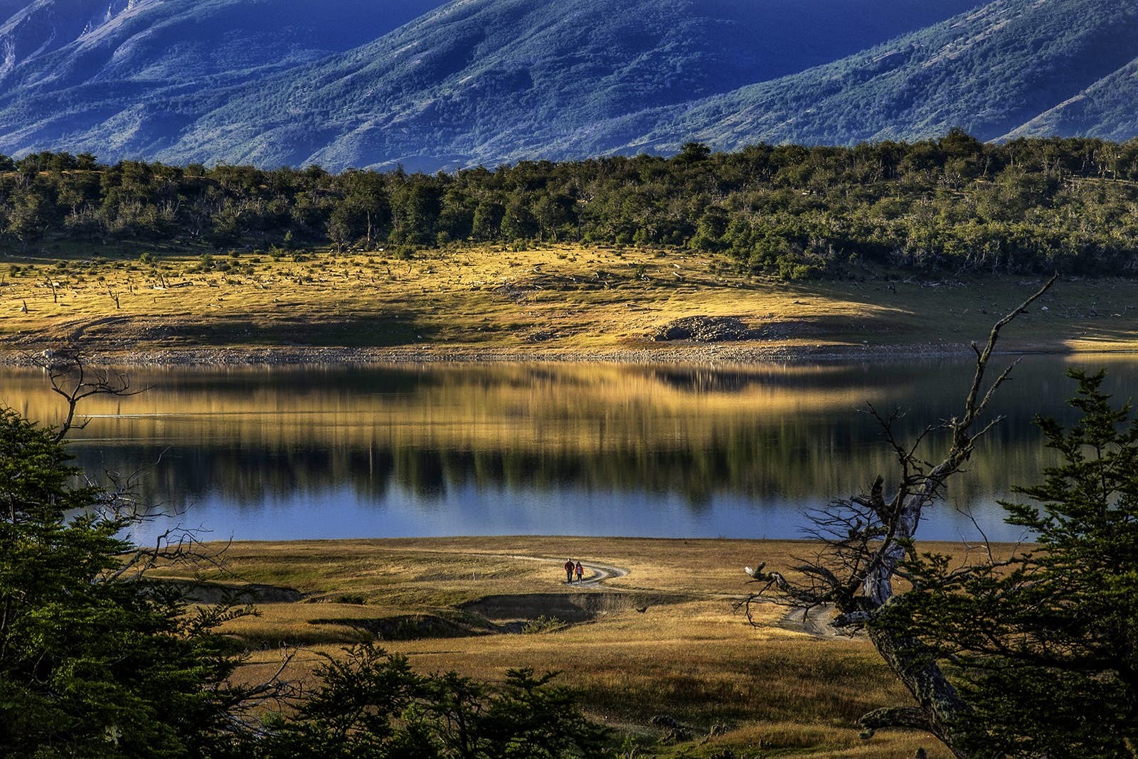 Patagonia s Serene Escapes: Top Relaxed Experiences in Bariloche and El Calafate