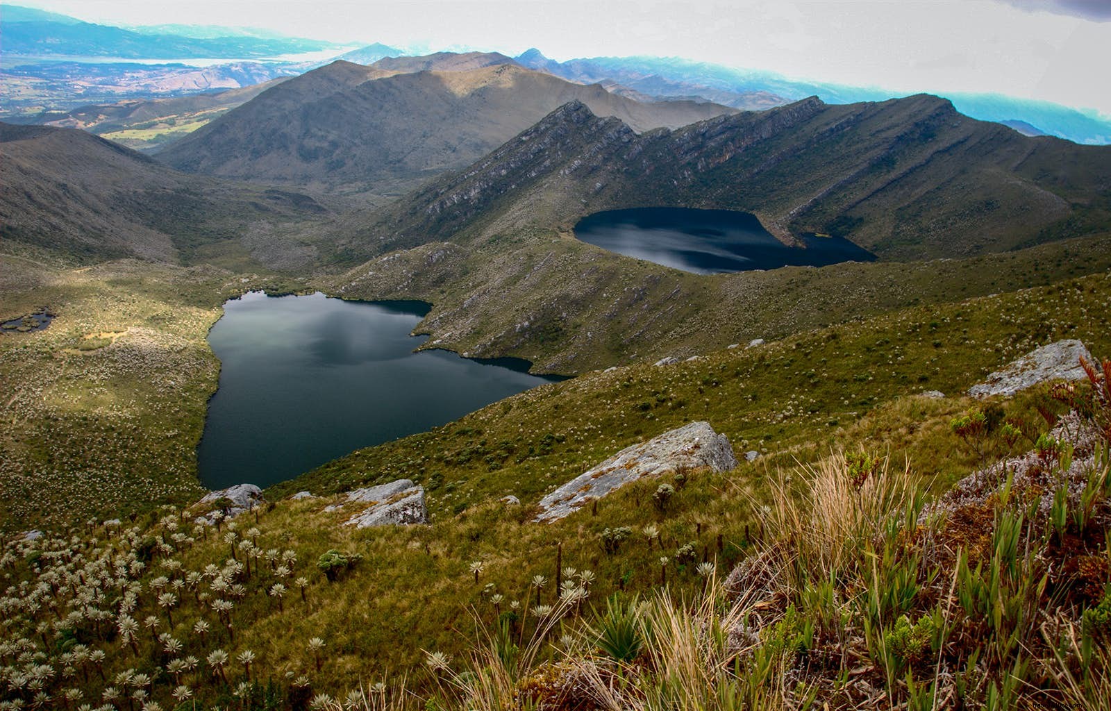 Top Countryside Day Trips from Bogotá: Adventures, Nature, and Hidden Gems