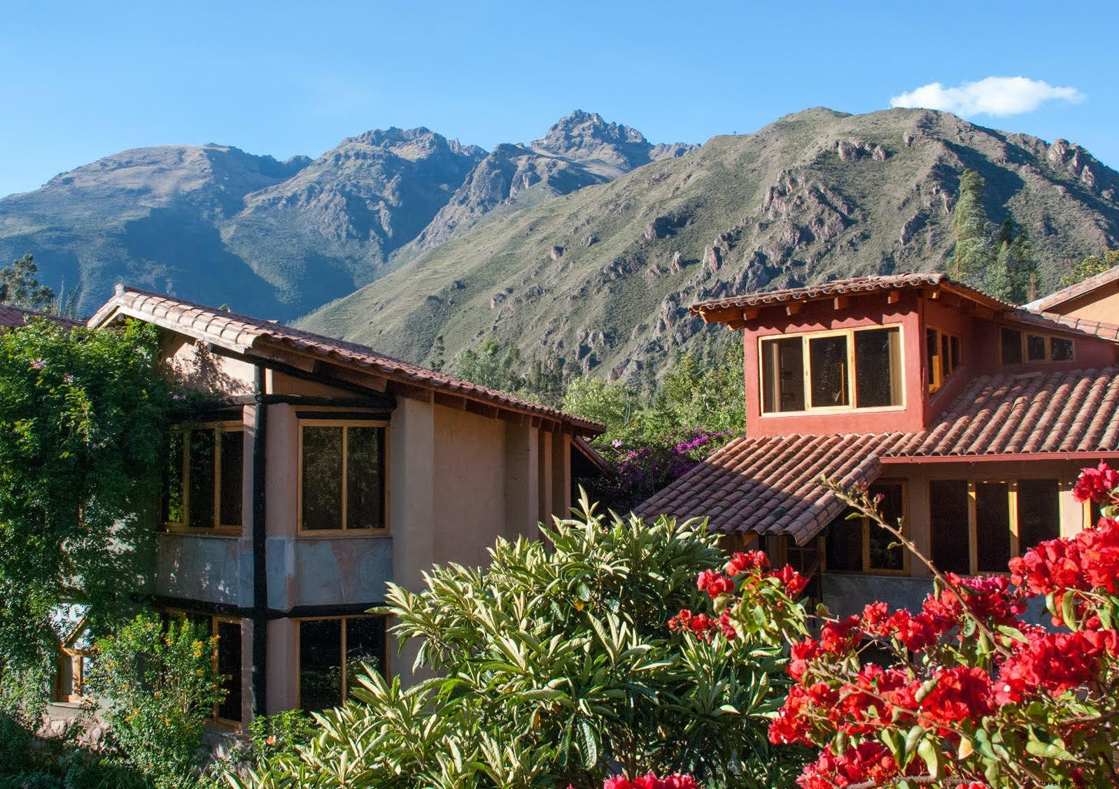 Top Wellness Retreats in Latin America: Ancient Traditions for Modern Rejuvenation