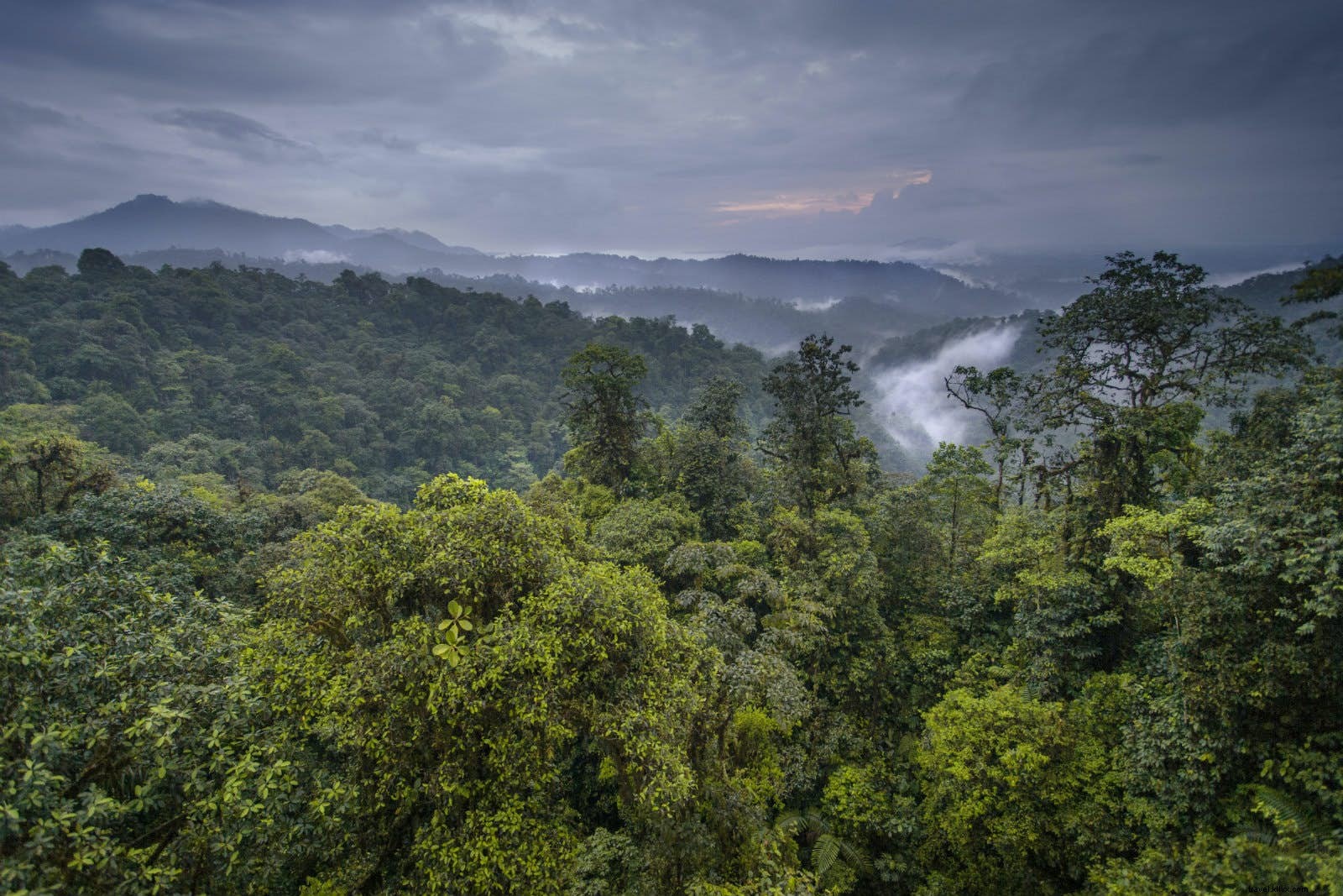 Discover Ecuador: History, Culture, and Wonders from the Andes to the Galápagos