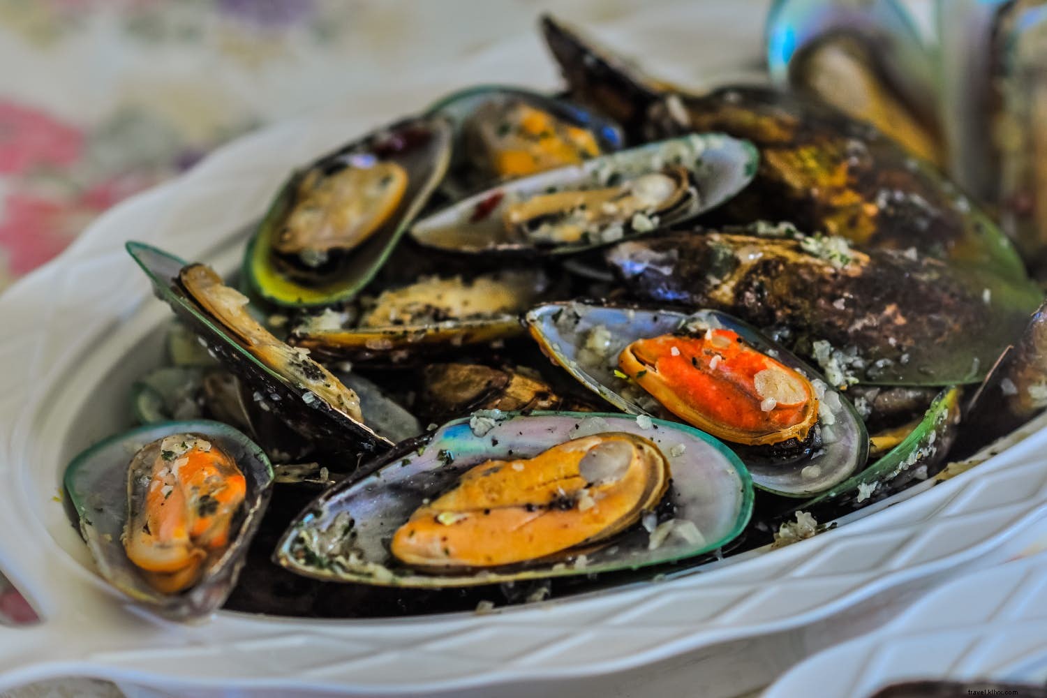 Best February Destinations for Food and Wine Lovers: New Zealand, Singapore, Australia, and Argentina