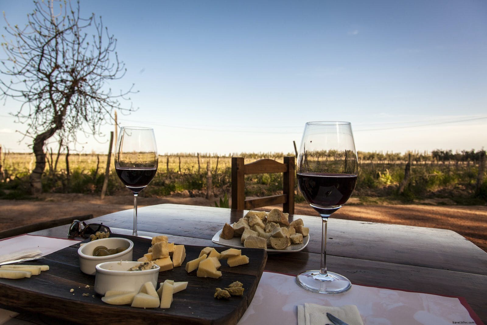 Budget Wine Tasting in South America: Top Regions on a Shoestring Budget