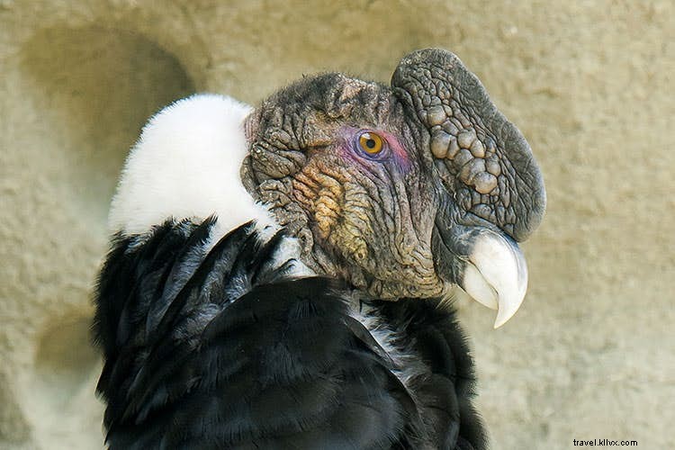 Ultimate Guide to the Best Hikes in Patagonia and Tierra del Fuego