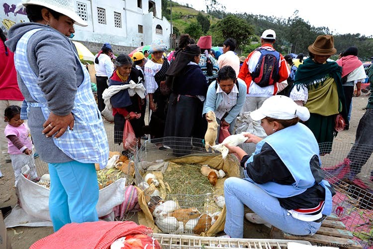 Ecuador s Tren Crucero: Luxurious Ride on the Revived  Railway in the Sky 