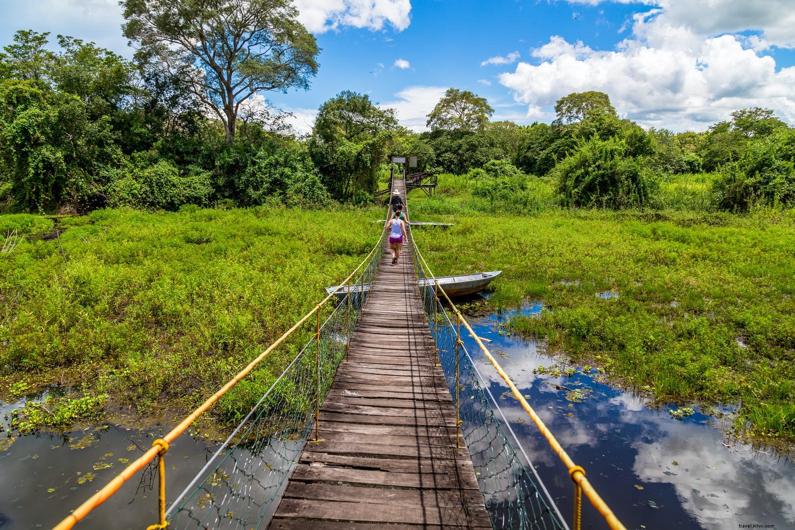 Pantanal Wildlife Wonderland: Expert Guide to Planning Your Trip