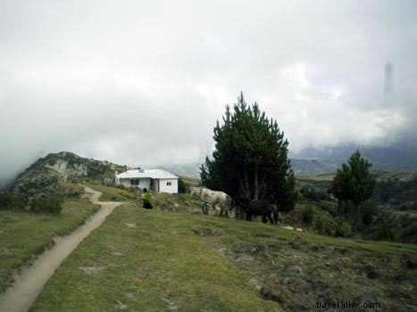 Ecuador s Thrilling Alternative Adventures: Caves, Whales, and Beyond