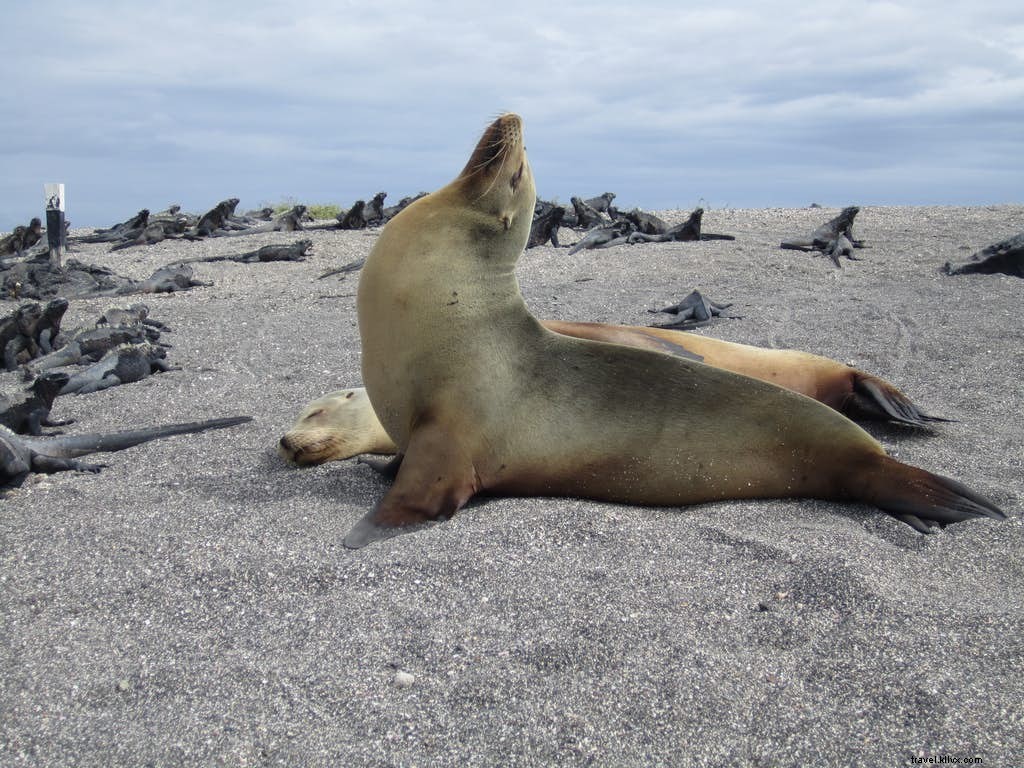 Must-See South America Destinations: Andes, Machu Picchu, Galápagos & Beyond