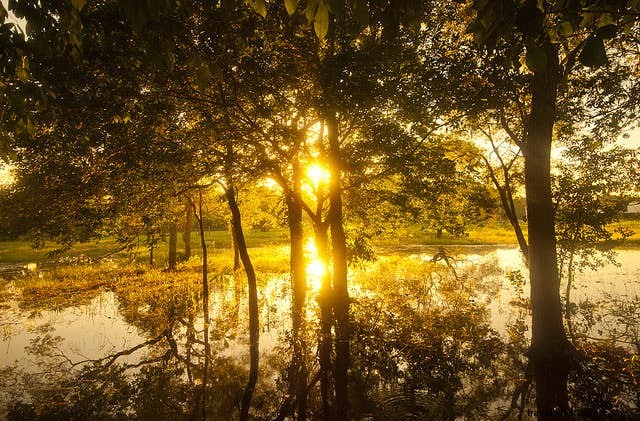 Must-See South America Destinations: Andes, Machu Picchu, Galápagos & Beyond