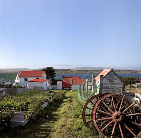 Discover the Falkland Islands: 5 Essential Steps for Wildlife and History