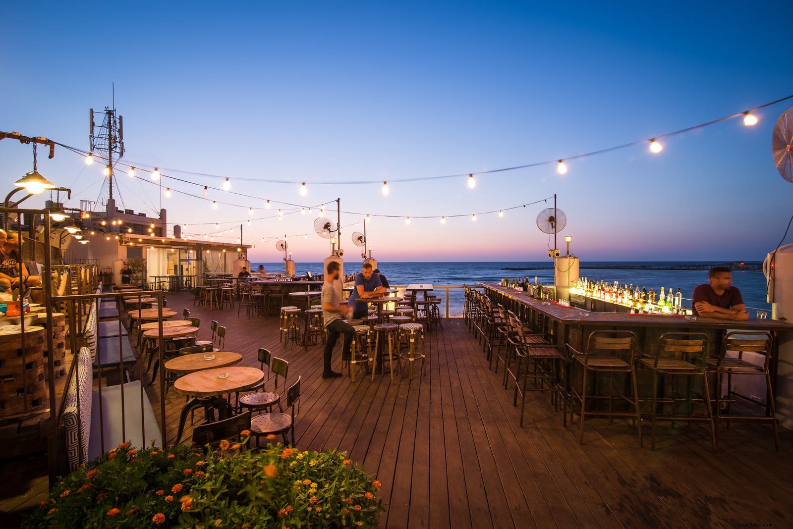 7 Best Rooftop Bars in Tel Aviv: Stunning Views and Craft Cocktails