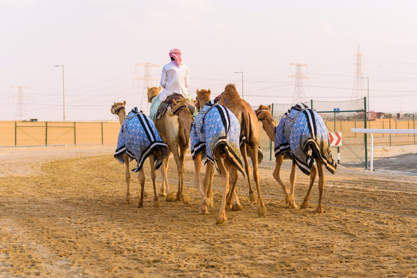 29 Best Free Things to Do in Abu Dhabi: Ultimate Budget Guide