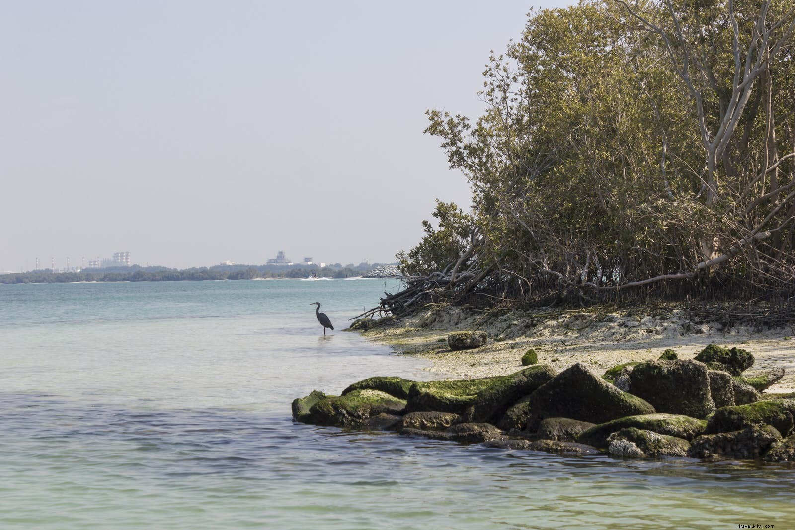 29 Best Free Things to Do in Abu Dhabi: Ultimate Budget Guide